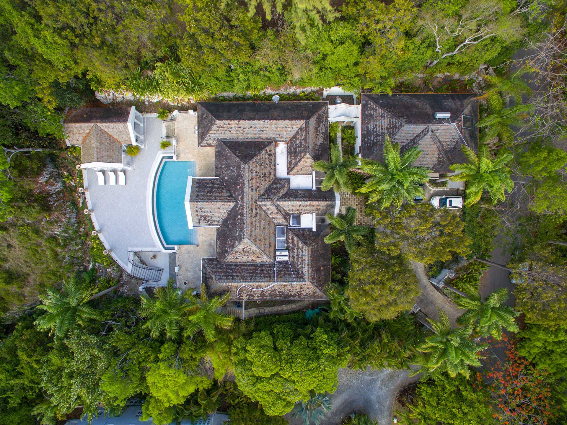 monkey-business-porters-place-2