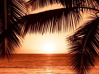 porters-place-barbados-scenery-7